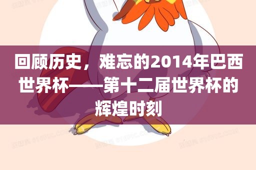 回顾历史，难忘的2014年巴西世界杯——第十二届世界杯的辉煌时刻眉山市正发家政服务有限公司