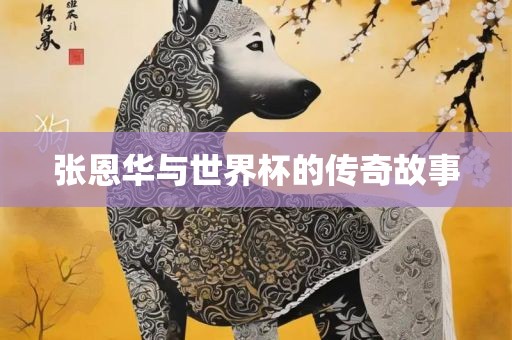 张恩华与世界杯的传奇故事