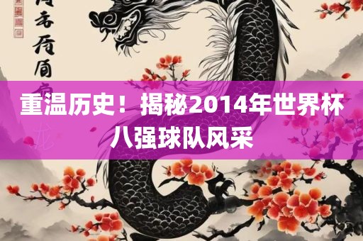 重温历史！揭秘2014年世界杯八强球队风采眉山市正发家政服务有限公司