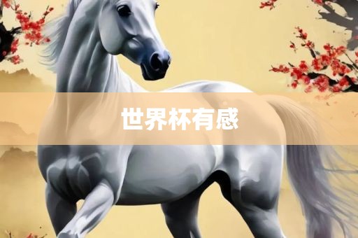 世界杯有感眉山市正发家政服务有限公司