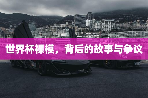 世界杯裸模，背后的故事与争议