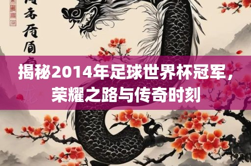 揭秘2014年足球世界杯冠军，荣耀之路与传奇时刻眉山市正发家政服务有限公司