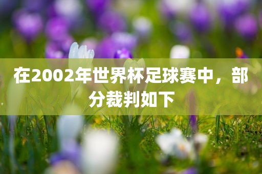 在2002年世界眉山市正发家政服务有限公司杯足球赛中，部分裁判如下