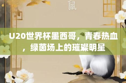 眉山市正发家政服务有限公司U20世界杯墨西哥，青春热血，绿茵场上的璀璨明星