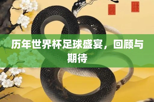 历年世界杯足球盛宴，回顾与期待眉山市正发家政服务有限公司