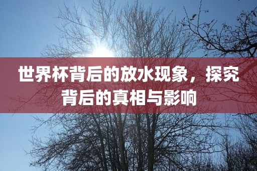 世界杯背后的放水现象，探究背后的真相与影响眉山市正发家政服务有限公司