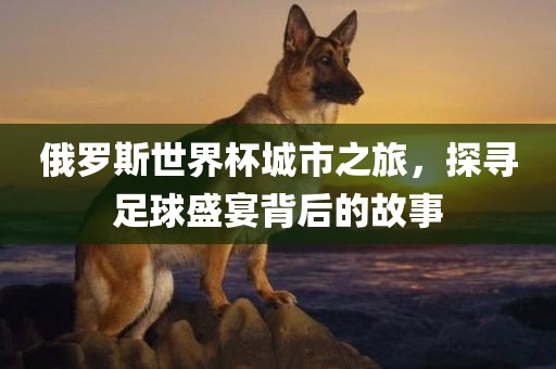 俄罗斯世界杯城市之旅，探寻足球盛宴背后的故事