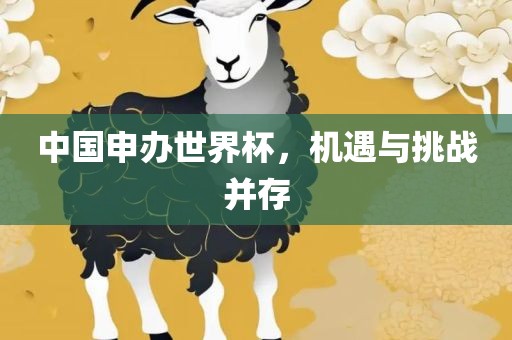 中国申办世界杯，机遇与挑战并存眉山市正发家政服务有限公司