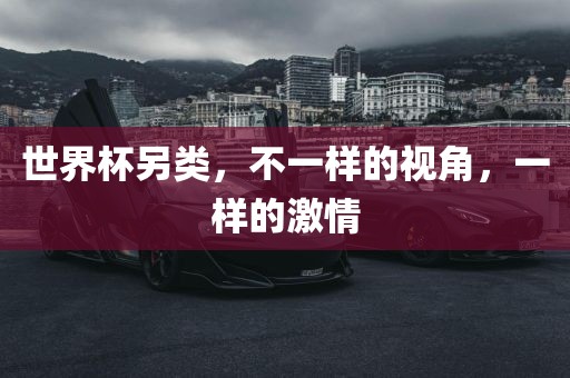 世界杯另类，不一样的视角，一样的激情眉山市正发家政服务有限公司