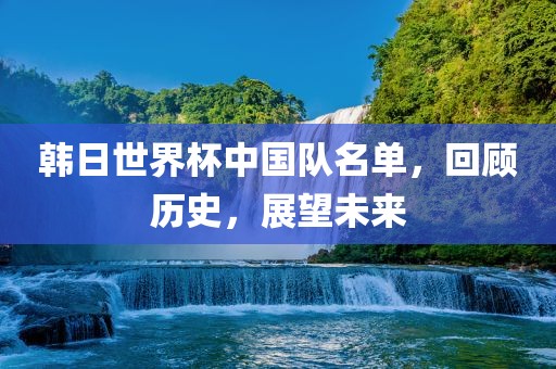 韩日世界杯中国队名单，回顾历史，展望未来眉山市正发家政服务有限公司