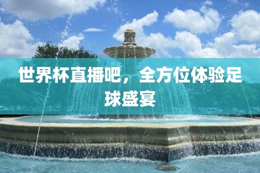 世界杯直播 第13页