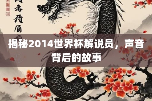 揭秘2014世界杯解说员，声音背后的故事