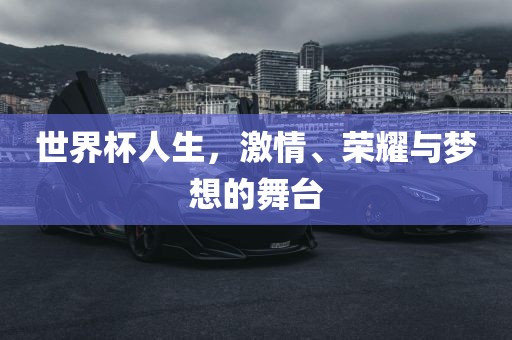 世界杯人生，激情、荣耀与梦想的舞台眉山市正发家政服务有限公司