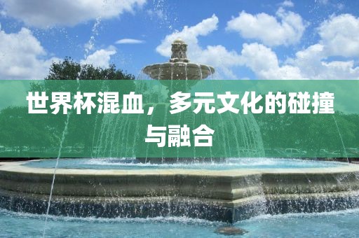 世界杯混血，多元文化的碰撞与融合眉山市正发家政服务有限公司