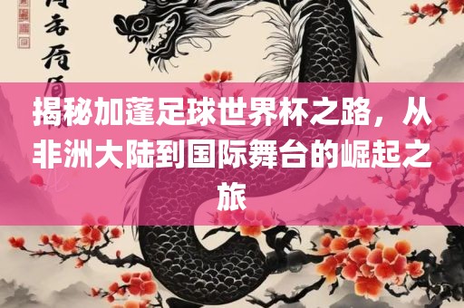 揭秘加蓬足球世界杯之路，从非洲大陆到国际舞台的崛起之旅眉山市正发家政服务有限公司