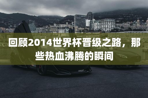 回顾2014世界杯晋级之路，那些热血沸腾的瞬间眉山市正发家政服务有限公司