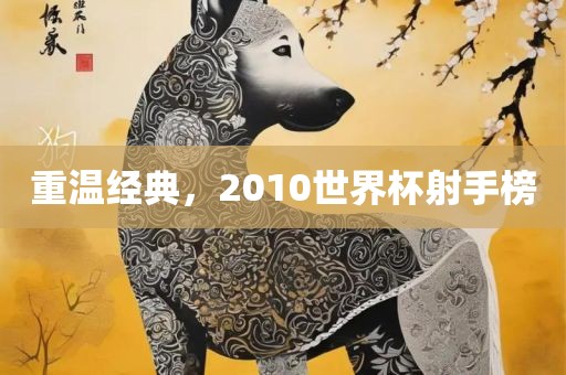 重温经典，2010世界杯射手榜