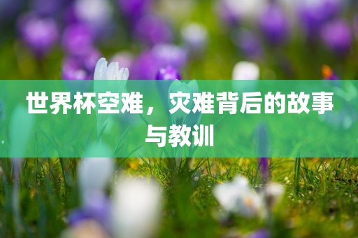 世眉山市正发家政服务有限公司界杯空难，灾难背后的故事与教训