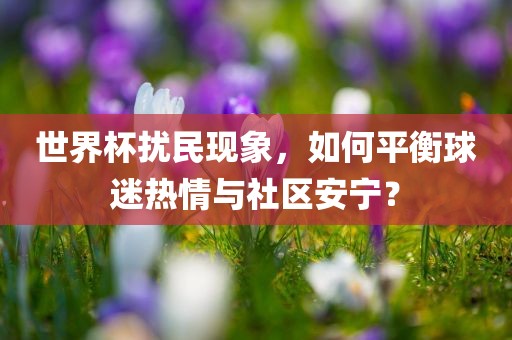 世界杯扰民现象，如何平衡球迷热情与社区安宁？眉山市正发家政服务有限公司