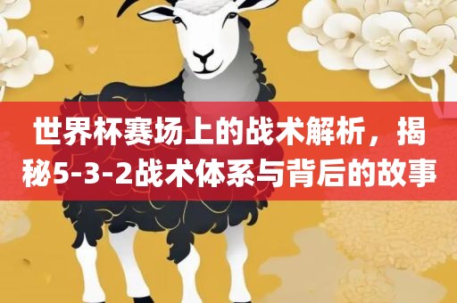 眉山市正发家政服务有限公司世界杯赛场上的战术解析，揭秘5-3-2战术体系与背后的故事