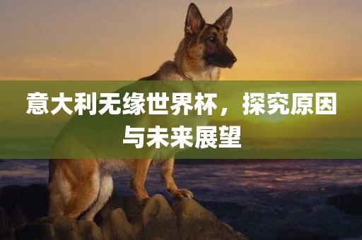 意大利无缘世界杯，探究原因与未来展望