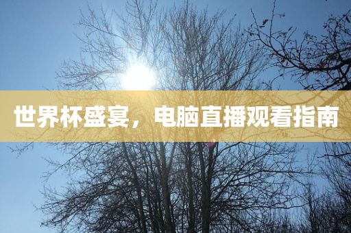 世界杯盛宴，电脑直播观看指南眉山市正发家政服务有限公司