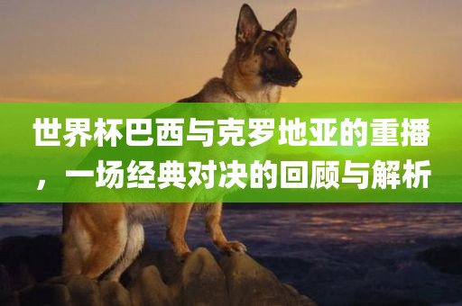 世界杯巴西与克罗地亚的重播，一场经典对决的回顾与解析