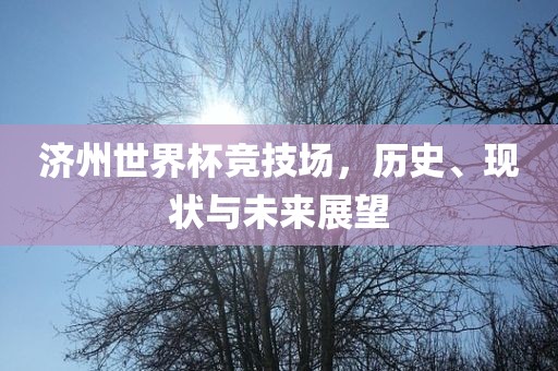 济州世界杯竞技场，历史、现状与未来展眉山市正发家政服务有限公司望