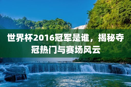 世界杯2016冠军是谁，揭秘夺冠热门与赛场风云眉山市正发家政服务有限公司