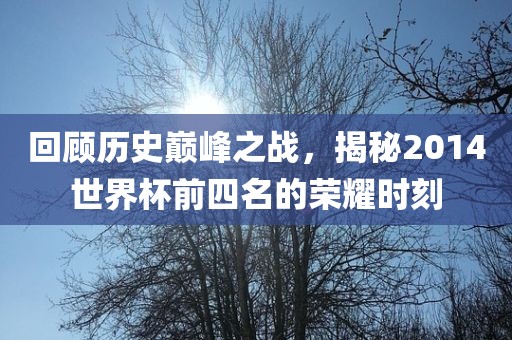 回顾历史巅峰之战，揭秘2014世界杯前四名的荣耀时眉山市正发家政服务有限公司刻