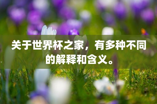 关于世界杯之家，有多种不同的解释和含义。眉山市正发家政服务有限公司