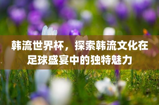 眉山市正发家政服务有限公司韩流世界杯，探索韩流文化在足球盛宴中的独特魅力