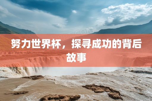 努力世界杯，探寻成功的背后故事