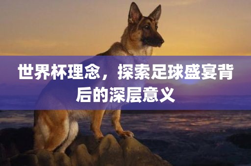 世界杯理念，探索足球盛宴背后的深层意义