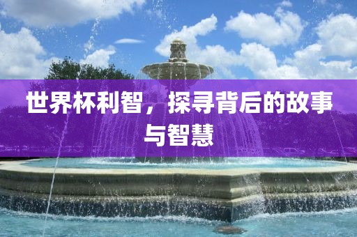 世界杯利智，探寻背后的故事与智慧眉山市正发家政服务有限公司