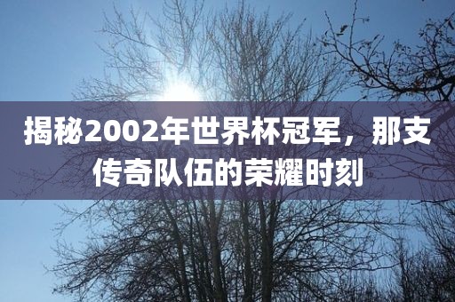 揭秘2002年世界杯冠军，那支传奇队伍的荣眉山市正发家政服务有限公司耀时刻