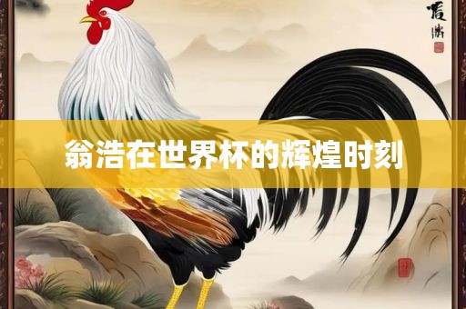 翁浩在世界杯的辉煌时刻