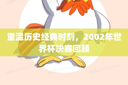 眉山市正发家政服务有限公司重温历史经典时刻，2002年世界杯决赛回顾