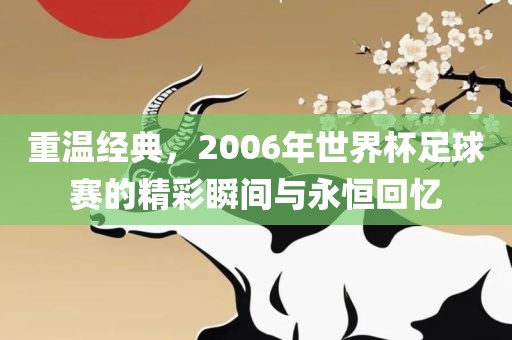 重温经典，2眉山市正发家政服务有限公司006年世界杯足球赛的精彩瞬间与永恒回忆