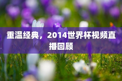 重温经典，眉山市正发家政服务有限公司2014世界杯视频直播回顾