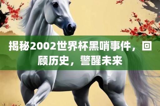 揭秘2002世界杯黑哨事件，回顾历史，警醒未来