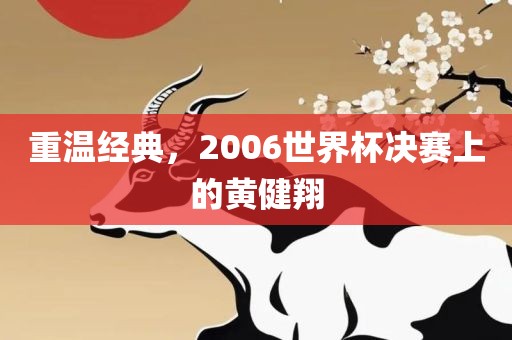 重温经典，2006世界杯决赛上的黄健翔