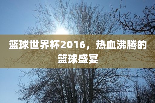 篮球世界杯2016，热血沸腾的篮球盛宴眉山市正发家政服务有限公司