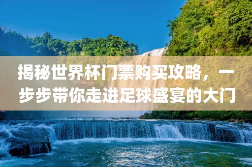 揭秘世界杯门票购买攻略，一步步带你走进足球盛宴的大门眉山市正发家政服务有限公司