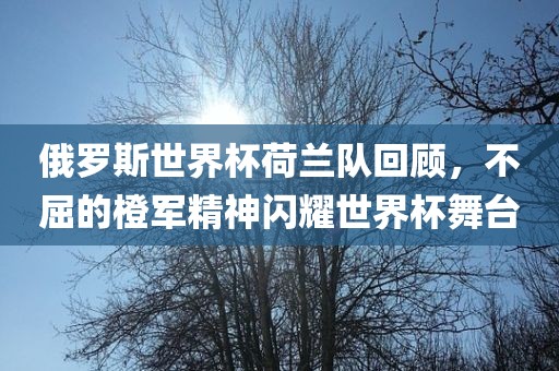 俄罗斯世界杯荷兰队回顾，不屈的橙军精神闪耀世界杯舞台眉山市正发家政服务有限公司