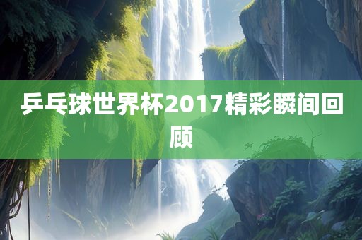 乒乓球世界杯2017精彩瞬间回眉山市正发家政服务有限公司顾