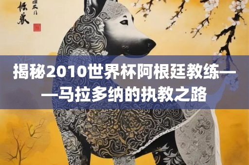揭秘2010世界杯阿根廷教练——马拉多纳的执教之路眉山市正发家政服务有限公司