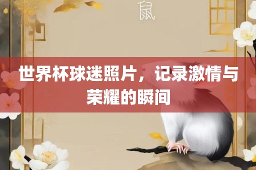 世界杯球迷照片，记录激情与荣耀的瞬间眉山市正发家政服务有限公司