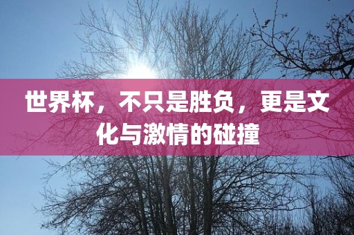 世界杯，不只是胜负，更是文化与激情的碰撞眉山市正发家政服务有限公司