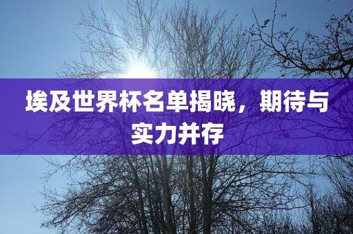 埃及世界杯名单揭晓，期待与实力并存